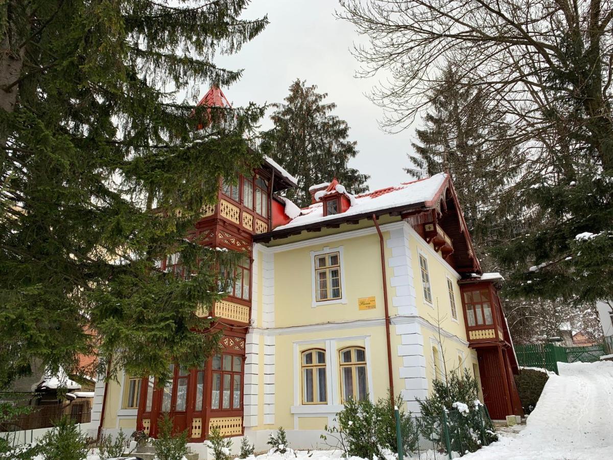 Vila Flavia Синая Екстериор снимка