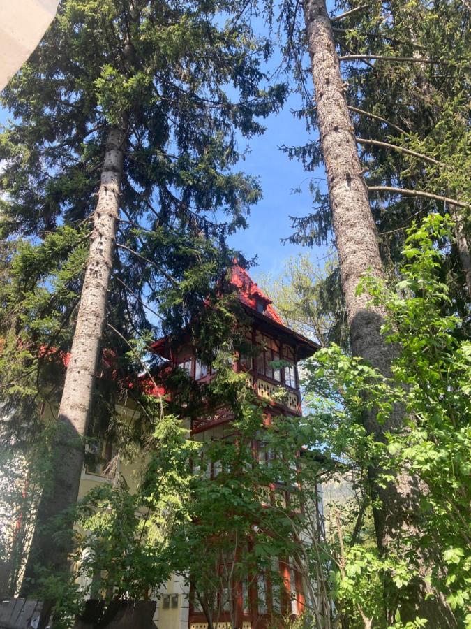 Vila Flavia Синая Екстериор снимка